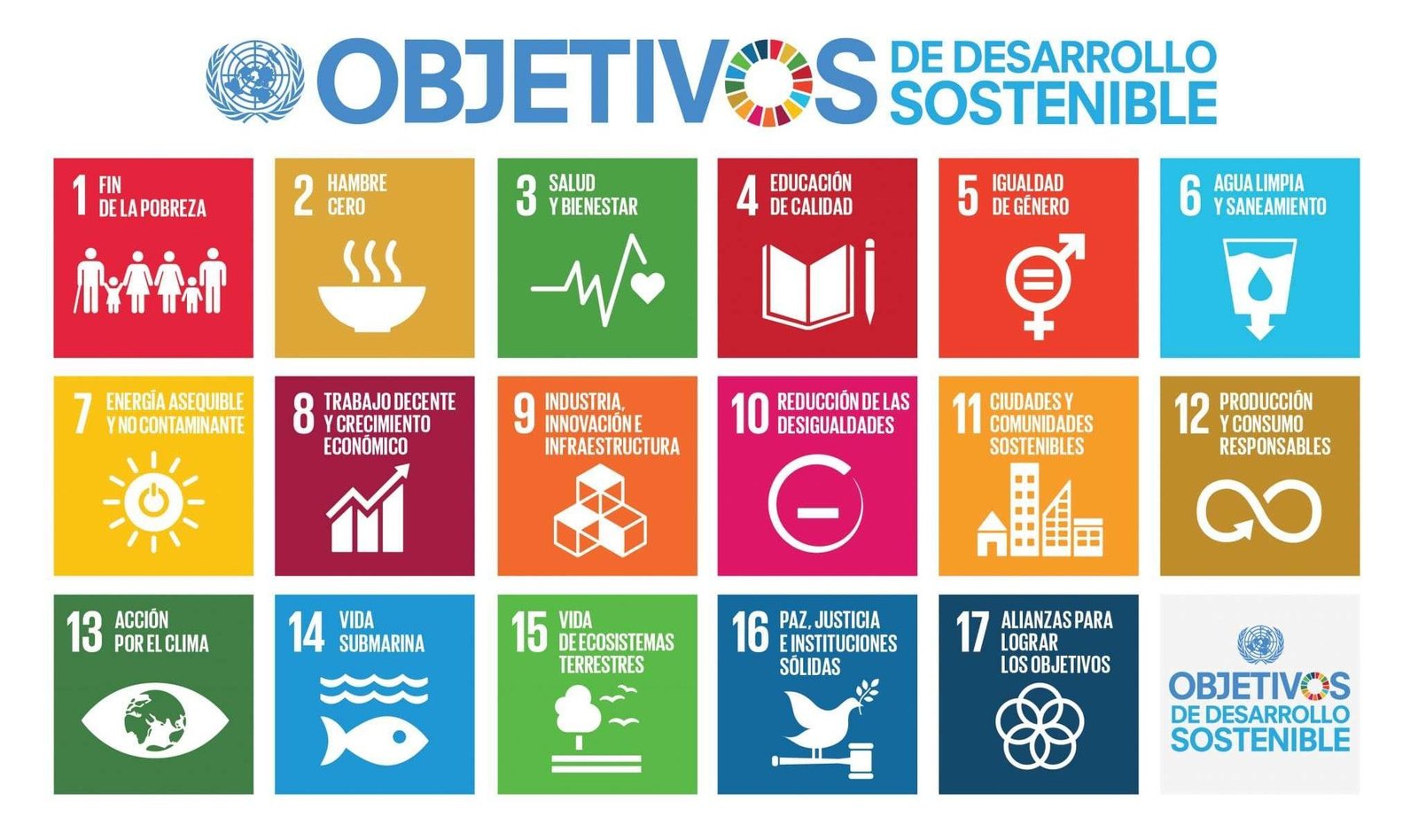 Objetivos de Desarrollo Sostenible ONU
